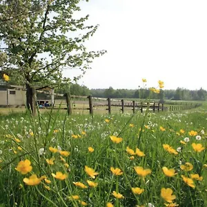 Agriturismo Cargandino Mezzomerico